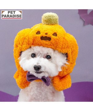  ペットパラダイス かぼちゃ 帽子 小型犬