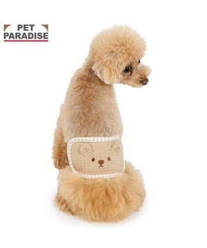  ペットパラダイスくまちゃん いっぱい マナーベルト 小型犬