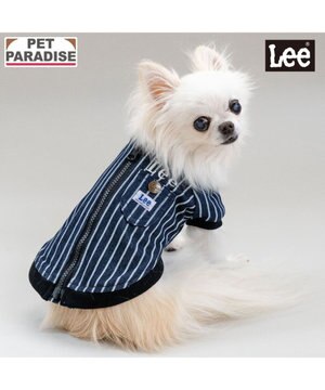  Lee ブルゾン ストライプ 小型犬