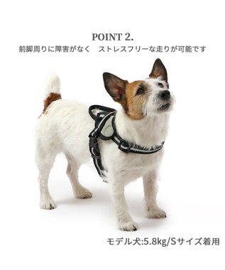 PET PARADISE ヘッドインハーネス 【Ｓ】 オレンジ / ブルー【  小型犬】 オレンジ×グレー