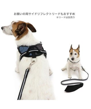 PET PARADISE ヘッドインハーネス 【Ｓ】 オレンジ / ブルー【  小型犬】 ブルー×ブラウン