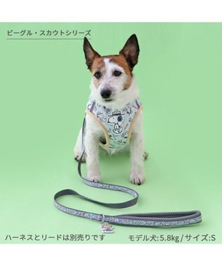 PET PARADISE スヌーピー リード 《ビーグルスカウト》 ＳＭ 中型犬 ビーグルスカウト