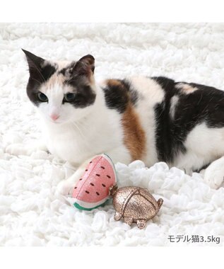 PET PARADISE ペットパラダイス ぶるぶる トイ かぶと虫 ブラウン
