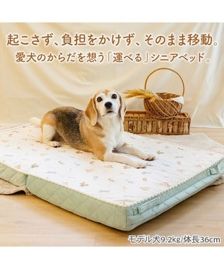 PET PARADISE ペットパラダイス makokoro シニアベッド 《犬柄》 Ｌ -