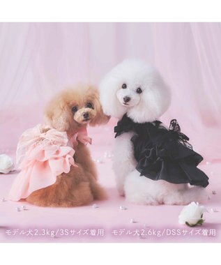 PET PARADISE cherircouture 接触冷感リボンワンピース 《ブラック》 小型犬 ブラック