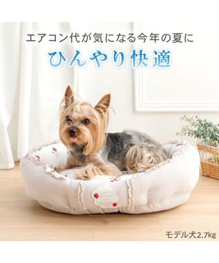 PET PARADISE ペットパラダイス クールカドラー 丸型 《苺花柄》 Ｓ ホワイト×レッド