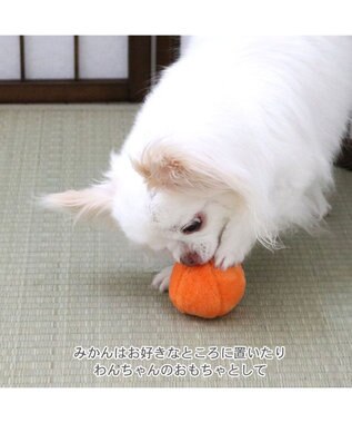 PET PARADISE ペットパラダイス こたつハウス 《お花柄》 小型犬 40cm レッド