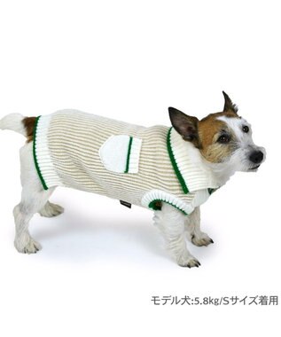 PET PARADISE ペットパラダイス スキッパーニット 小型犬 ホワイト