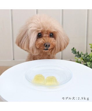 PET PARADISE りんごゼリー 10個入り 国産 -