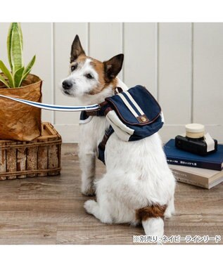 PET PARADISE ペットパラダイス ライン入りリュック付き ハーネス ３Ｓ 小型犬 ネイビー