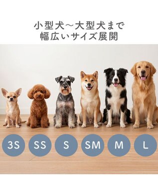 PET PARADISE ペットパラダイス バレエ スリット シューズ  ＳＳ -
