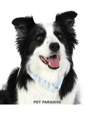  クールリング 犬 クールネック ひんやり 28℃クールリング 【Ｍ】 リフレクター 水色 ベージュ 反射材付き