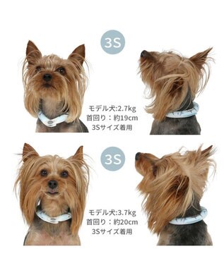 PET PARADISE ペットパラダイス ２８℃ クールリング ＳＳ 《サメ柄》 ブルー
