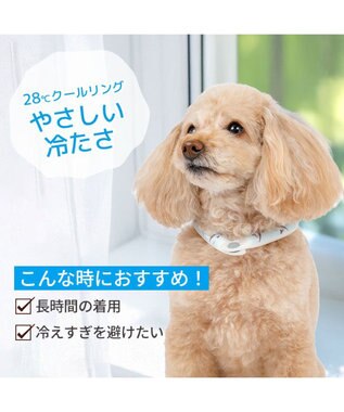 PET PARADISE ペットパラダイス ２８℃ クールリング ＳＳ 《サメ柄》 ブルー