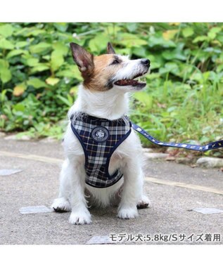 PET PARADISE J.PRESS ビエラチェック ハーネス リード【Ｓ】 マルチカラー