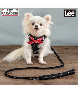 Lee ループノット ハーネス＆リード 小型犬 Ｓ