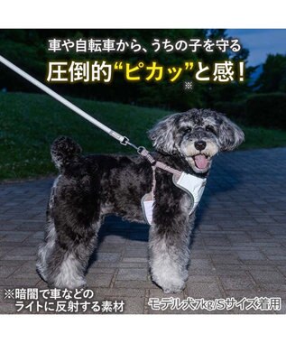 PET PARADISE ペットパラダイス 超反射 切り替え ハーネス＆リード ＳＳ 《ブルーグリーン》 ブルーグリーン