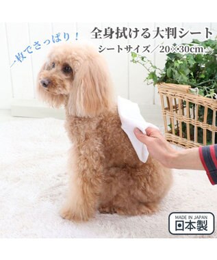 PET PARADISE ペットパラダイス クール  ボディタオル 20枚入り -
