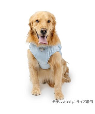 PET PARADISE ペットパラダイス 花刺繍 ベスト ハーネス Ｌ 大型犬 ライトブルー