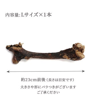 PET PARADISE 鹿 げん骨 デンタルおやつ Lサイズ×1本 純国産 鹿 げん骨