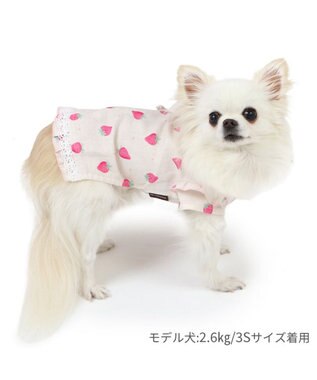PET PARADISE ペットパラダイス 接触冷感 背中開き 甚平 《いちご柄》　小型犬 いちご柄