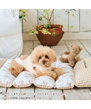PET PARADISE ペットパラダイス ごろ寝マット 《くまちゃん柄》 小型犬 くまちゃん