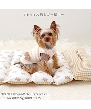 PET PARADISE ペットパラダイス ごろ寝マット 《くまちゃん柄》 小型犬 くまちゃん