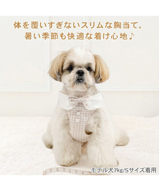 PET PARADISE ペットパラダイス くまちゃん 襟付き スリム ハーネス＆リード Ｓ 小型犬 ブラウン