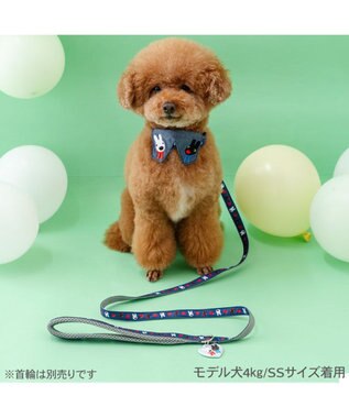 PET PARADISE リサとガスパール ハート柄 リード ４Ｓ～３Ｓ ネービー