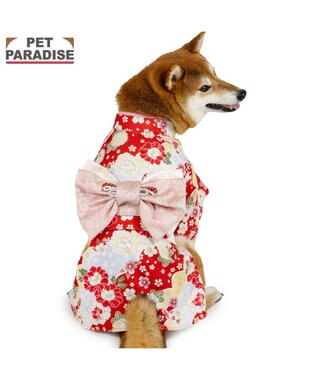 PET PARADISE ペットパラダイス 菊 牡丹 着物 中型犬 大型犬