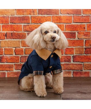 PET PARADISE ペットパラダイス 襟付き ジャケット 小型犬 ネイビー