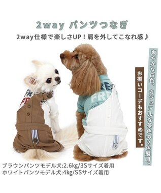 PET PARADISE 犬の服 犬 パンツ つなぎ 【小型犬】 2way  ブラウン  /  ホワイト ブラウン