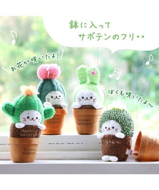 Mother garden しろたん サボテン マスコット 《柱サボテン》 柱サボテン