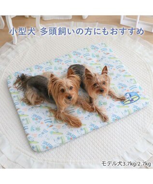 PET PARADISE スヌーピー もちっと クール マット Ｍ 《サーフ柄》 -