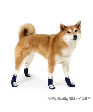 PET PARADISE スヌーピー makokoro スリット 靴下 ＳＭ 中型犬 紺(ネイビー・インディゴ)