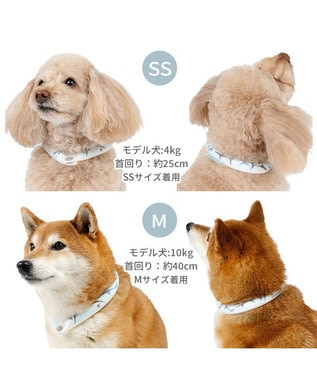 PET PARADISE ペットパラダイス ２８℃ クールリング Ｓ 《サメ柄》 ブルー