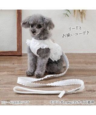PET PARADISE ペットパラダイス コットンフリル ベストハーネス ＳＳ ホワイト