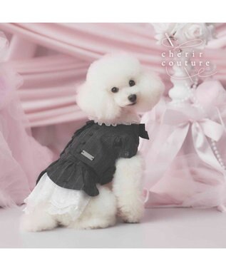 PET PARADISE cherircouture ジャケットワンピース 小型犬