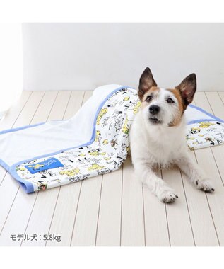 PET PARADISE ディズニー プルート クールケット 小型犬 ブランケット