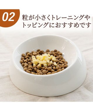 PET PARADISE ミニトリーツ チーズ 国産 -