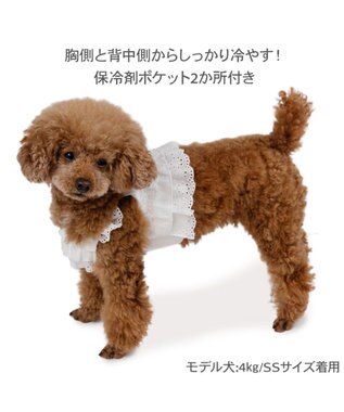 PET PARADISE ペットパラダイス ポケットクール ビスチェ 小型犬 ホワイト