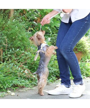 PET PARADISE スヌーピー リード&ハーネス 《パーティ柄》 3S 小型犬 パーティ柄