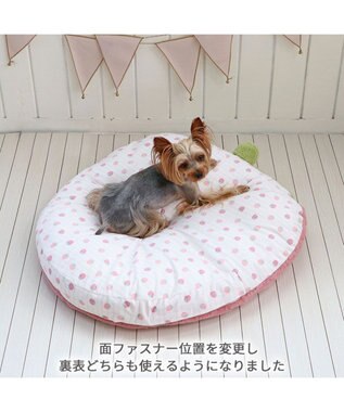 PET PARADISE ネット店限定 ペットパラダイス くすみ苺 クッション M ピンク