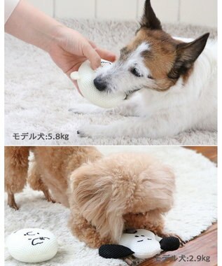 PET PARADISE スヌーピー  チャーリーブラウン デンタル フェイス トイ ベージュ