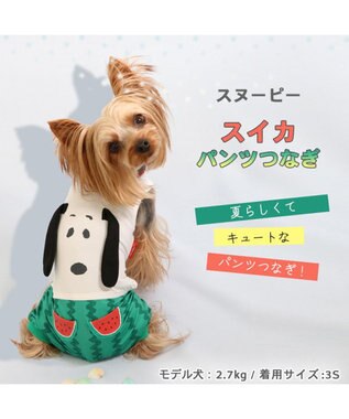 PET PARADISE 犬の服 春夏 ひんやり クール 接触冷感 虫よけ スヌーピー スイカ柄 パンツ つなぎ 【小型犬】 緑