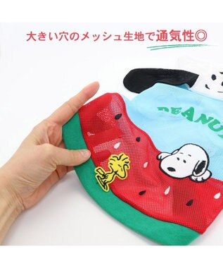 PET PARADISE 犬の服 春夏 スヌーピー スイカ柄 メッシュ パーカー【中型犬】 水色