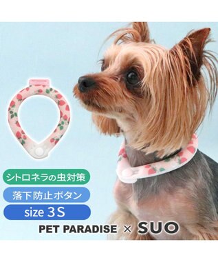 PET PARADISE ペットパラダイス 28℃クールリング SUO 《いちご》 〔３Ｓ〕 小型犬