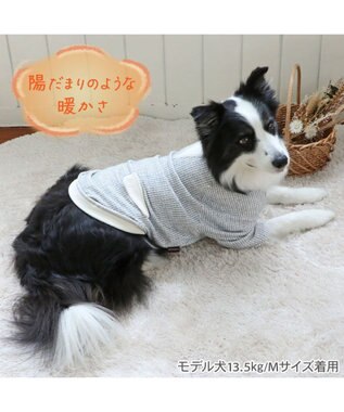 PET PARADISE ペットパラダイス ペティヒート 天竺 Tシャツ 《ニット柄》  中型犬 大型犬 ニット柄