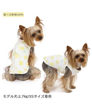 PET PARADISE ペットパラダイス やさしいベスト リバーシブル《ミモザ柄》 小型犬 ミモザ柄