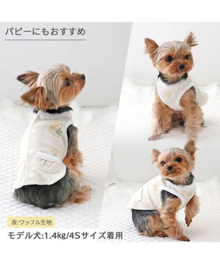 PET PARADISE ペットパラダイス やさしいベスト リバーシブル《ミモザ柄》 小型犬 ミモザ柄